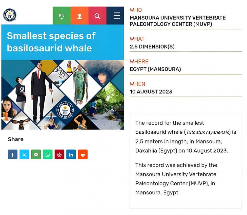 For the first time, Mansoura University Vertebrate Paleontology Center (MUVP) joins Guinness World Record