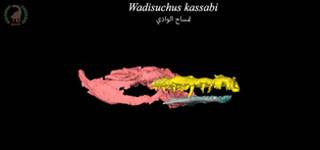 Découverte mondiale du Centre de paléontologie des vertébrés de l'Université de Mansoura